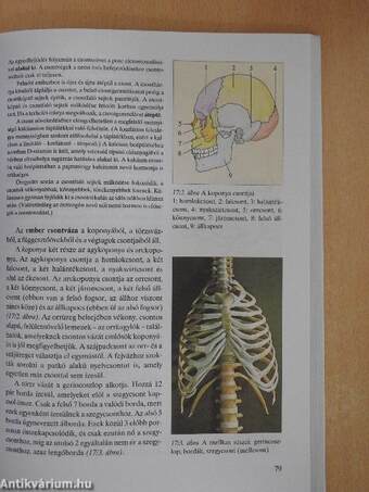 Biológia 11.