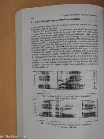 IV. Magyar Számítógépes Nyelvészeti Konferencia