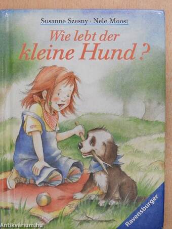 Wie lebt der kleine Hund?