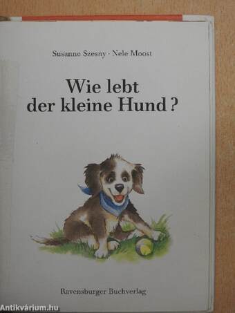 Wie lebt der kleine Hund?