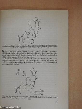 Az orvostudomány aktuális problémái 58.