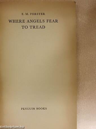 Where Angels Fear to Tread