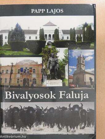 Bivalyosok faluja