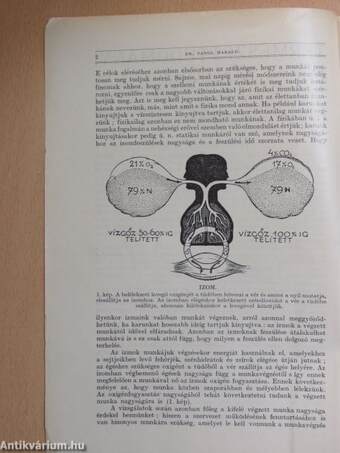 Természettudományi Közlöny 1935. január-december/Pótfüzetek a Természettudományi Közlönyhöz 1935. január-december