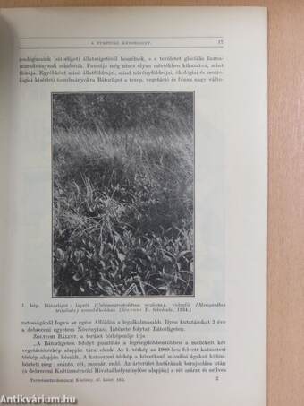 Természettudományi Közlöny 1935. január-december/Pótfüzetek a Természettudományi Közlönyhöz 1935. január-december