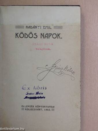 Ködös napok