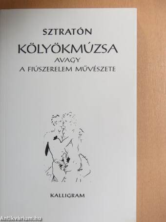 Kölyökmúzsa avagy A fiúszerelem művészete