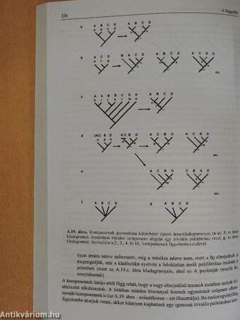 A szárazföldi növények evolúciója és rendszertana