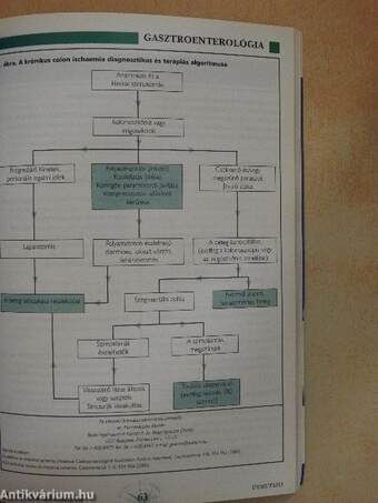 Gasztroenterológiai Útmutató 2002