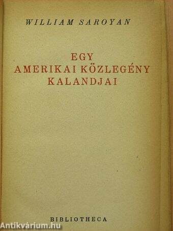 Egy amerikai közlegény kalandjai