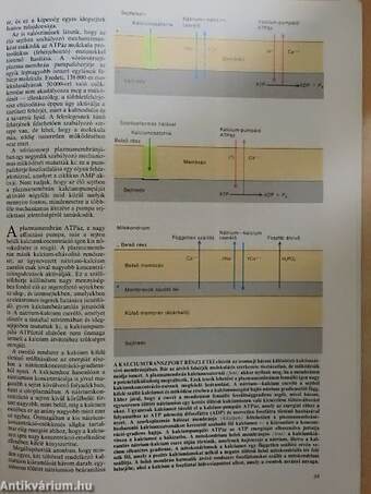 Tudomány 1986. (nem teljes évfolyam)