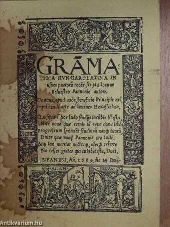 Grammatica Hungarolatina