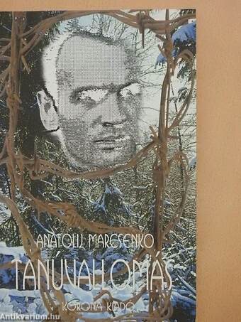 Tanúvallomás