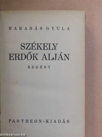 Székely erdők alján