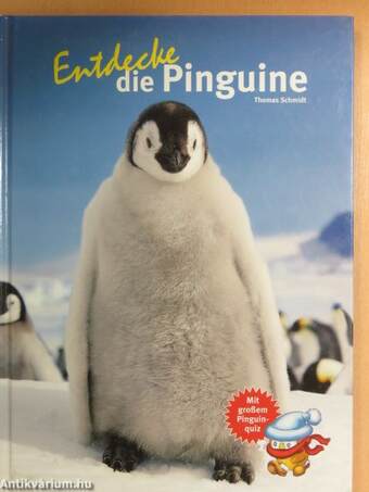 Entdecke die Pinguine