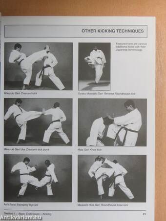 The Shotokan Karate Handbook: Beginner to Black Belt