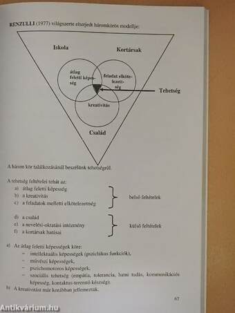 A differenciáló pedagógia alapjai, sajátosságai az óvodai nevelésben