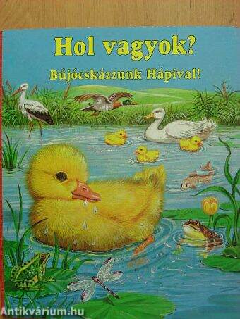 Hol vagyok?