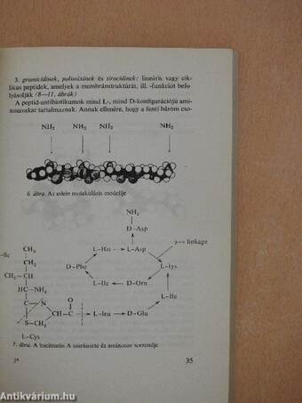 A biológia aktuális problémái 13.