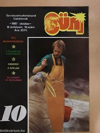 10 lapszám a Süni című magazinból