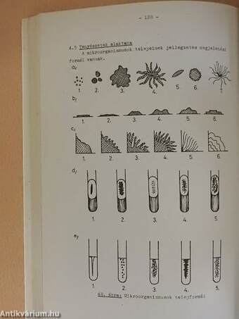 Mikrobiológiai gyakorlatok I.