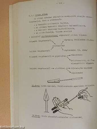 Mikrobiológiai gyakorlatok I.