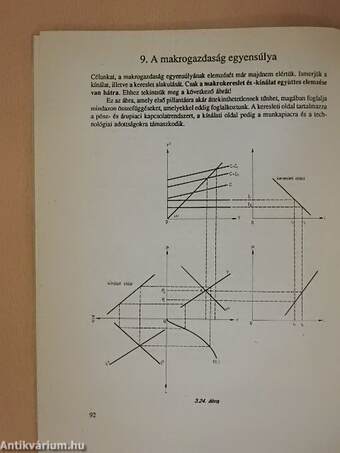 Közgazdaságtan II.