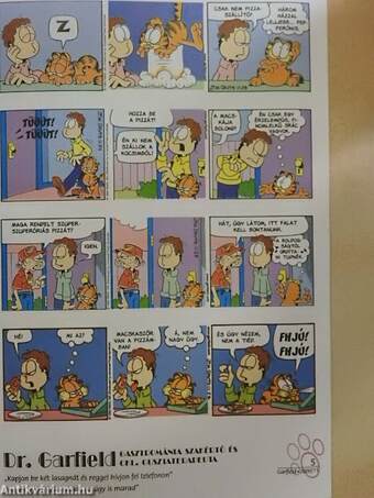 Garfield 2000/11. november