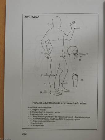 Talpraállított egészség (dedikált példány)