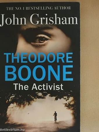 Theodore Boone - The Activist