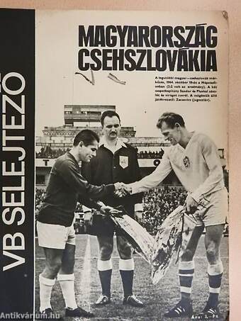 Magyarország-Csehszlovákia VB selejtező