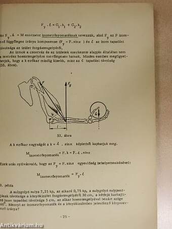 A sportmozgások biomechanikája