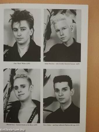 Stripped: Depeche Mode