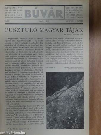 Búvár 1937. (nem teljes évfolyam)