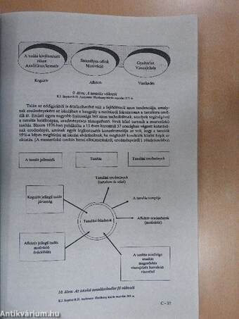 Közoktatási menedzser