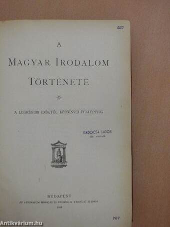 A magyar irodalom története I-II.