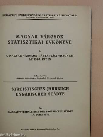 Magyar városok statisztikai évkönyve 6.