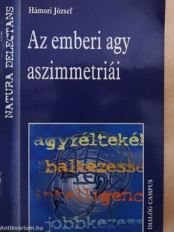 Az emberi agy aszimmetriái