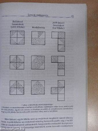 Az emberi agy aszimmetriái