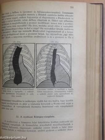 Belorvosi diagnosztika