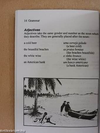 Brazilian phrasebook