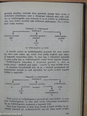 Az örökbefogadás