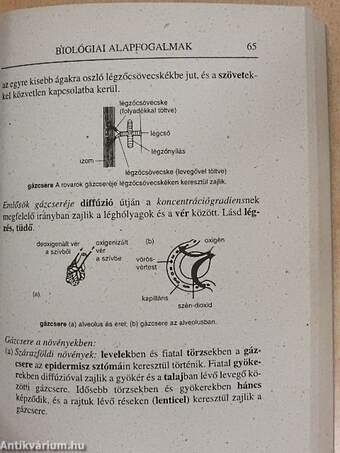 Biológiai alapfogalmak