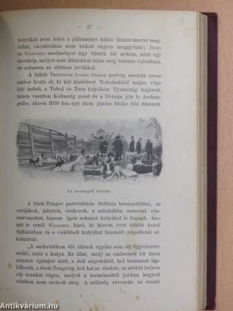 Az «Észak Csillaga» («Stella Polare») az Északi Sarktengeren 1899-1900 I. (töredék)