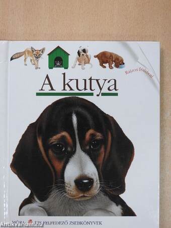 A kutya