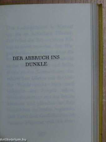 Die unglaubwürdige Reise des Knaben Titus/Der Abbruch ins Dunkle