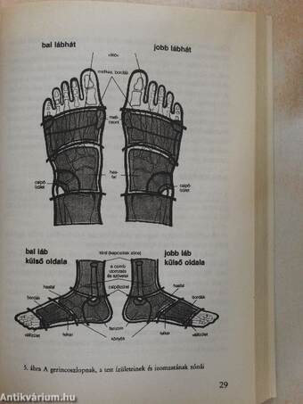 A láb- és talpmasszázs nagy könyve