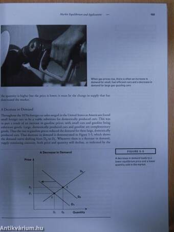 Economics: A Survey