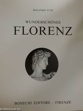 Wunderschönes Florenz