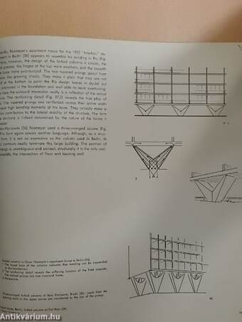 Structure and form in modern architecture